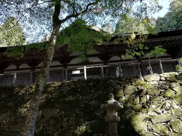 五木寛之が百寺巡礼の中で「そこにパッと本堂が浮かびあがる」と描写し光景です_百済寺 本堂