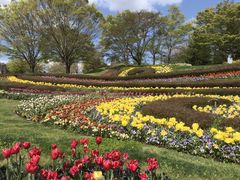 国営みちのく杜の湖畔公園の写真1