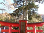 つねさんの羽黒山の投稿写真1