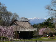 なるなるさんのみちのく民俗村の投稿写真1
