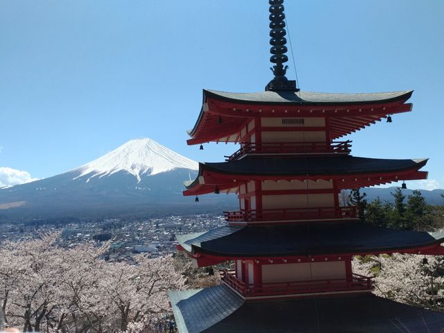 くっきりと富士山・五重の塔と桜にかすむ富士吉田の町並み_北口本宮冨士浅間神社