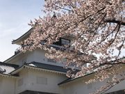 hitoさんの悠久山公園の投稿写真3