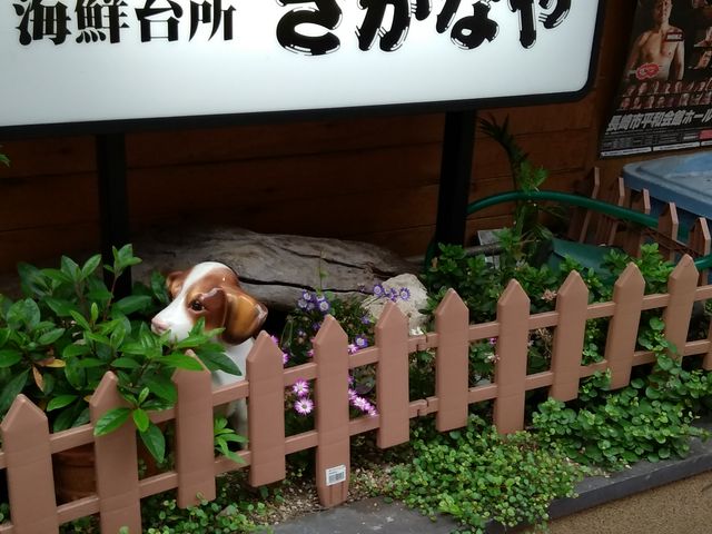外観_海鮮台所さかなや