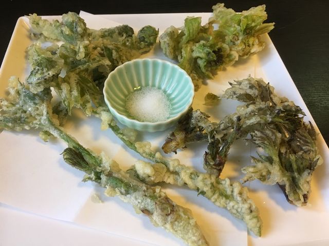 山菜の天ぷらもいただきました。_奥藤 本店