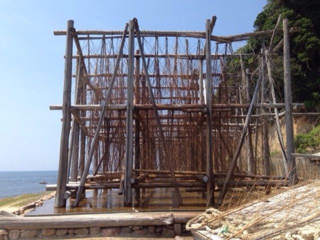 立体式塩田_またいちの塩 製塩所「工房とったん」