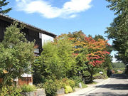 あさみさんの中山道の投稿写真1