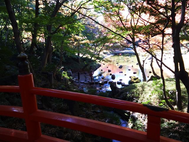 橋の上からも水と紅葉の調和した風景が_通天橋(小石川後楽園)