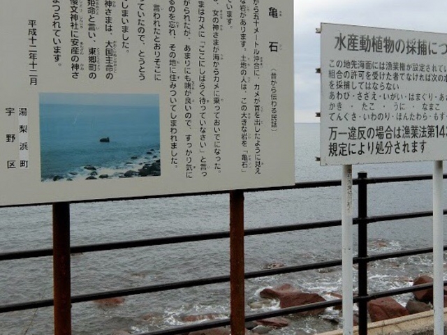 看板_亀石