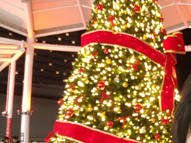 クリスマスの飾り_JR広島駅