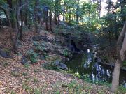 イオンさんの寝覚の滝(小石川後楽園)の投稿写真1