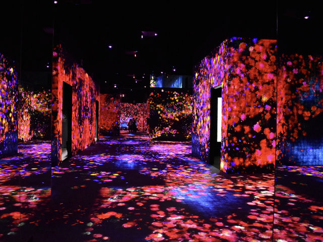 迷路みたいです_MORI Building DIGITAL ART MUSEUM:EPSON teamLab Borderless