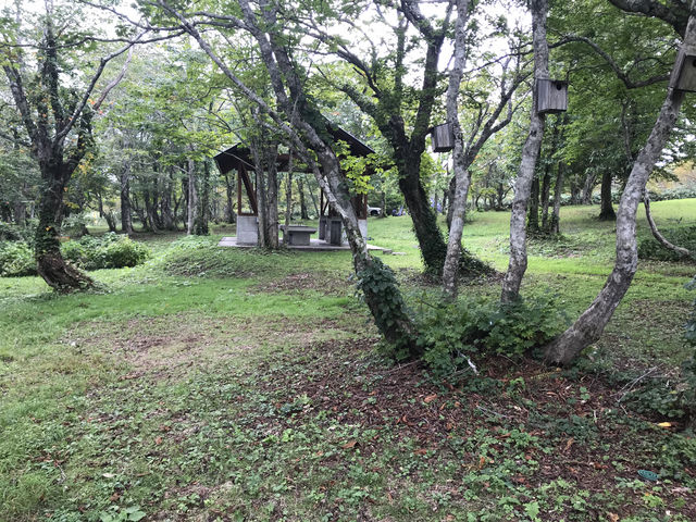 そうたとみんなさんの稲庭キャンプ場の投稿写真1