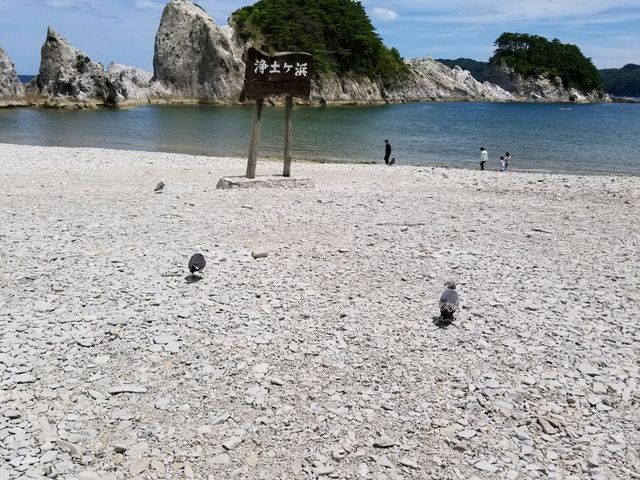 浄土ヶ浜_浄土ヶ浜レストハウス