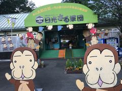 日光さる軍団の写真1