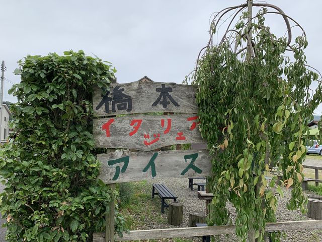 橋本牧場イタリアンジェラートアイス工房