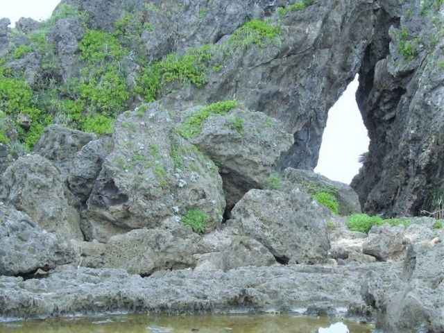 ミーフガー_ミーフガー