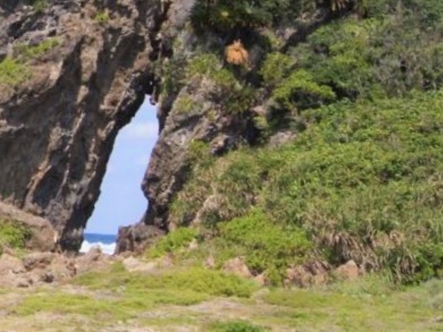 岩に細長い空洞_ミーフガー