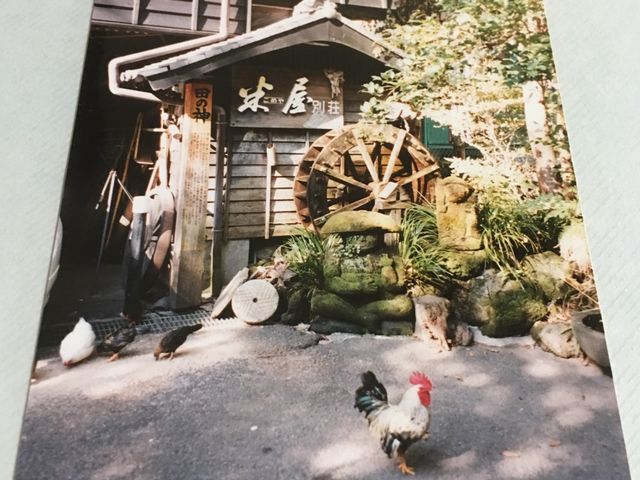 米屋別荘。今も昔もチャボがいました〜☆_米屋別荘
