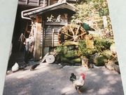 poporonさんの米屋別荘の投稿写真1