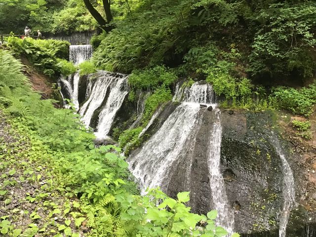 白糸の滝 付近の遊歩道_浅間牧場白糸の滝ハイキングコース