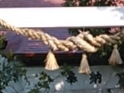 アクセルゼンカイさんの浅間神社の投稿写真1