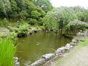 やんまあさんの竹林院群芳園(庭園)の投稿写真1