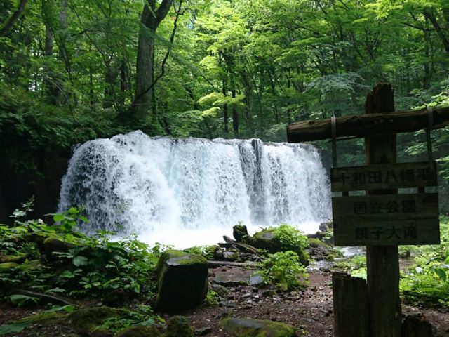 この滝は迫力あります_銚子大滝
