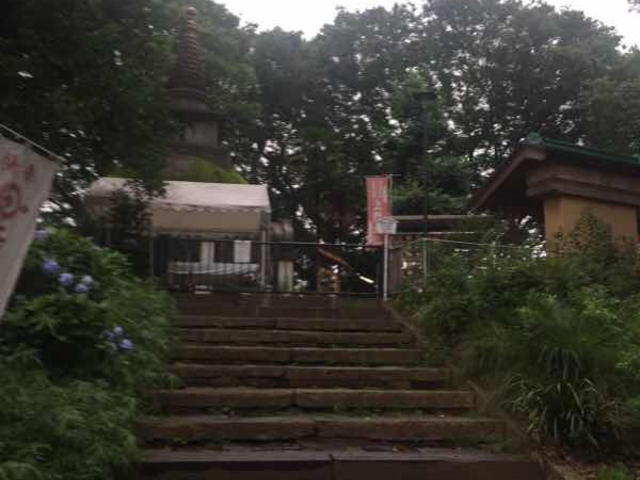 小高い場所にあります。_上野大仏