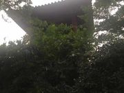 Kuda12さんの時の鐘「時鐘堂」の投稿写真1