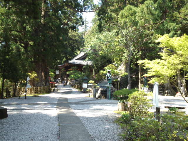 太龍寺_太龍寺