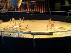 一支国博物館の写真1
