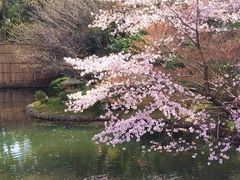 椿山荘 庭園の写真1