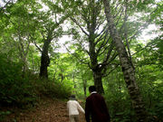 okeiさんの早稲沢・デコ平自然ふれあい探勝路の投稿写真4