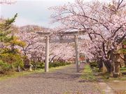 甘辛熊さんの寿都の投稿写真3