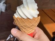 ユウさんのまほーばの森の投稿写真1