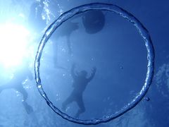 なおすけさんのB-natureへの投稿写真1