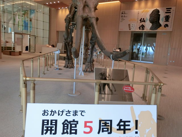 MieMu 三重県総合博物館