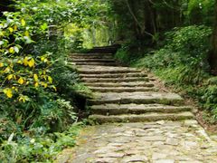 yulaさんの熊野古道 大門坂への投稿写真1