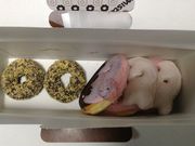 ひーちゃんさんのミスタードーナツ宇土シティショップの投稿写真1