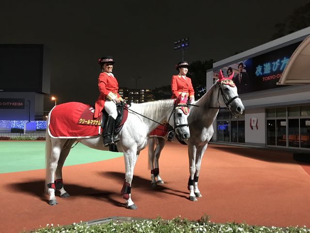お馬さんがお出迎えしてくれました_東京シティ競馬(大井競馬場)