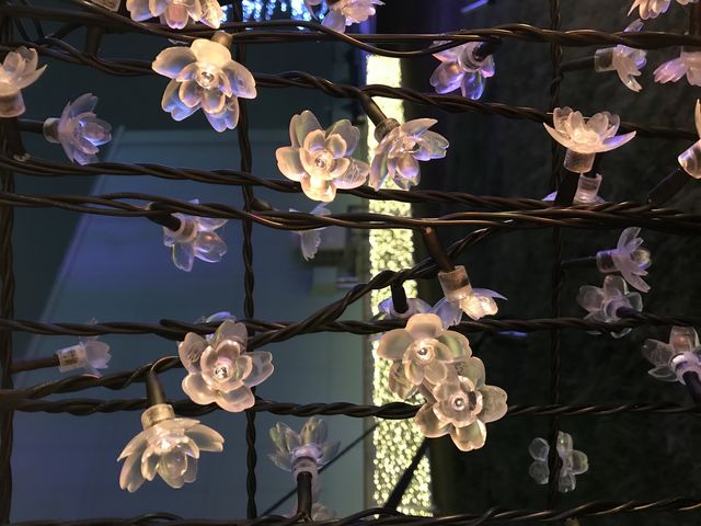 桜の花びらのLEDライト_東京シティ競馬(大井競馬場)