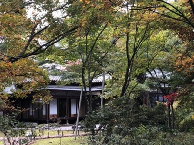 もみじand茶屋_もみじ園