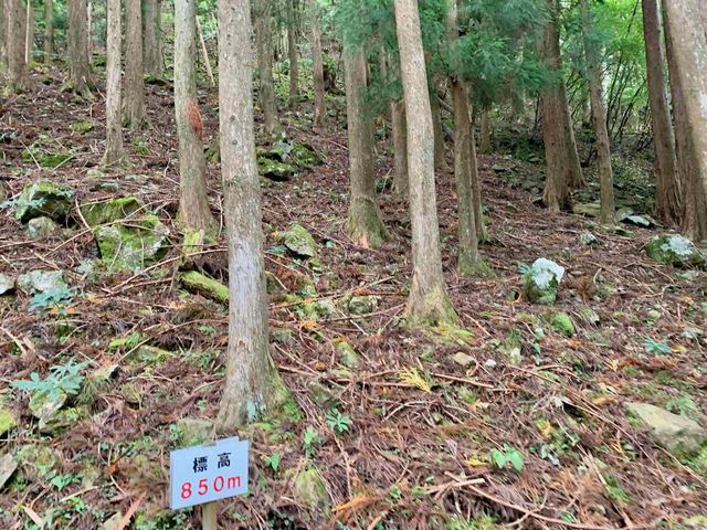 山の中腹_奥祖谷観光周遊モノレール