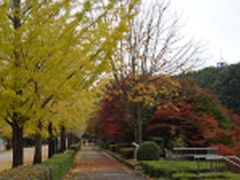 秩父ミューズパークの写真1