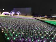 みちょこさんの東京シティ競馬(大井競馬場)の投稿写真4