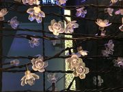 みちょこさんの東京シティ競馬(大井競馬場)の投稿写真6