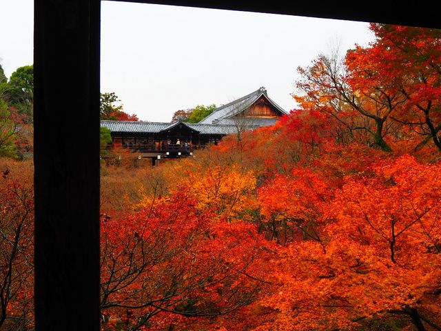 臥雲橋から撮影
ここからの眺めは圧巻です。_東福寺