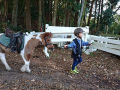 シンさんの乗馬クラブ ニューシーズン御殿場への投稿写真2