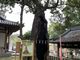 カモちゃんさんの八幡竈門神社への投稿写真4