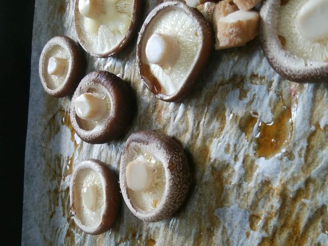 試食のしいたけです。(既に数個食べた後)シンプルに塩コショウだけで充分美味しかったです!_サンコウファーム
